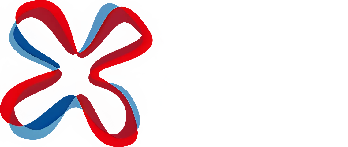 Mission Innovation Champion